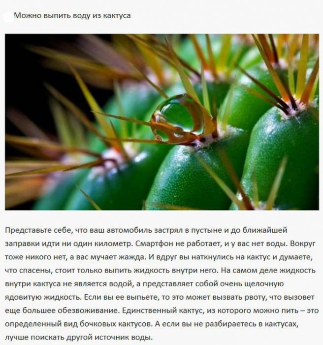 Инструкции по выживанию