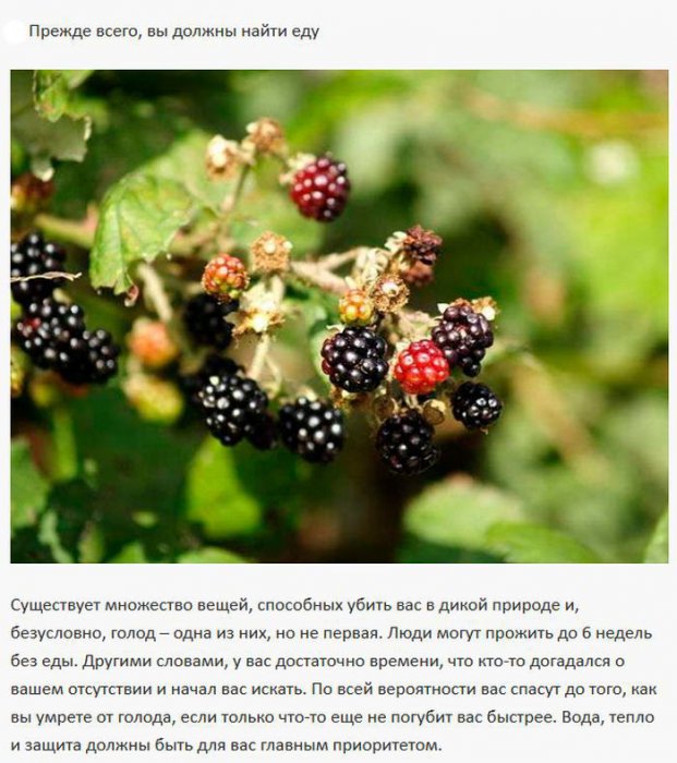 Инструкции по выживанию