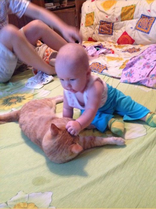 Что значит "быть молодыми родителями"