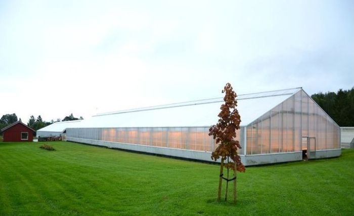 Жить как Брейвик!