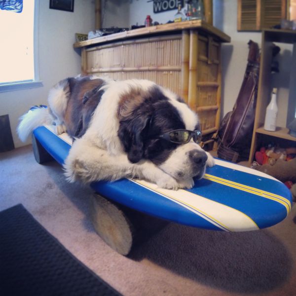 Прикольные картинки (81 фото)