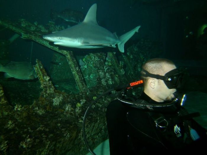 Прикольные картинки (81 фото)