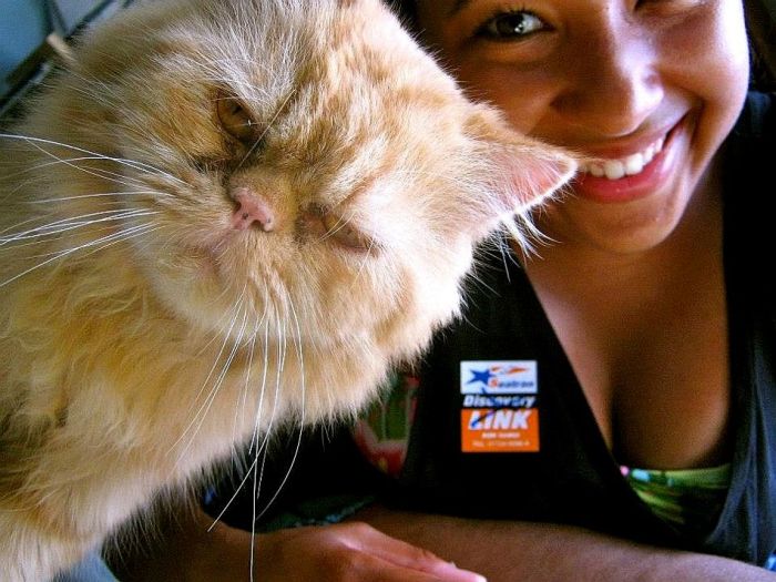 Прикольные картинки (81 фото)