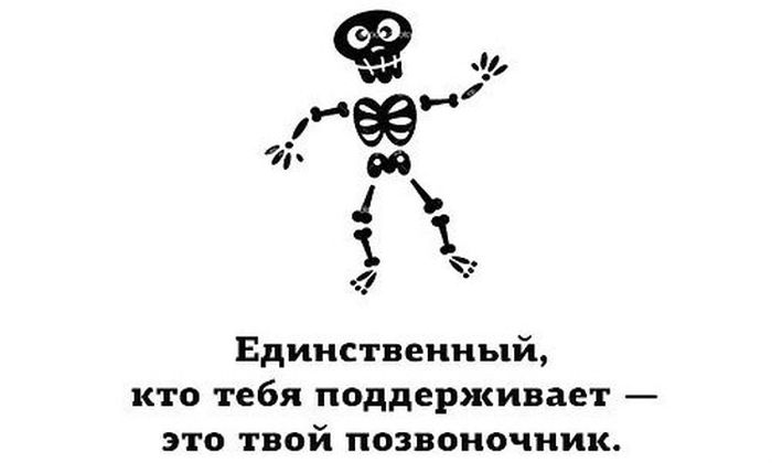 Прикольные картинки (81 фото)