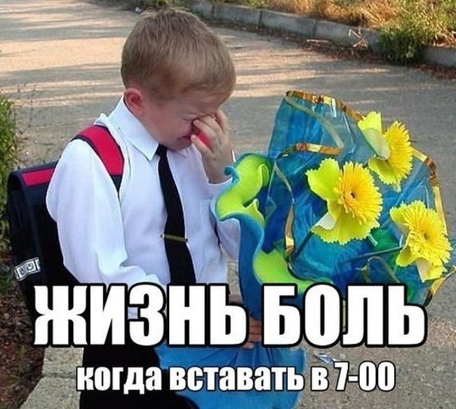 Прикольные картинки (81 фото)