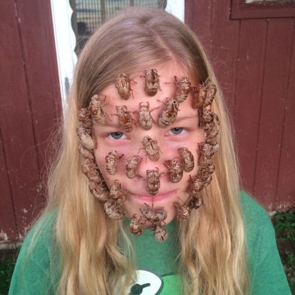 Прикольные картинки (81 фото)