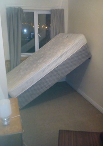 Прикольные картинки (86 фото)