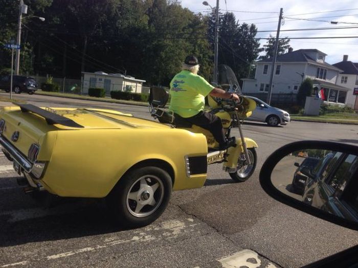 Прикольные картинки (86 фото)