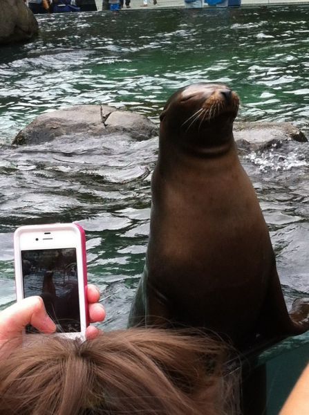 Прикольные картинки (86 фото)