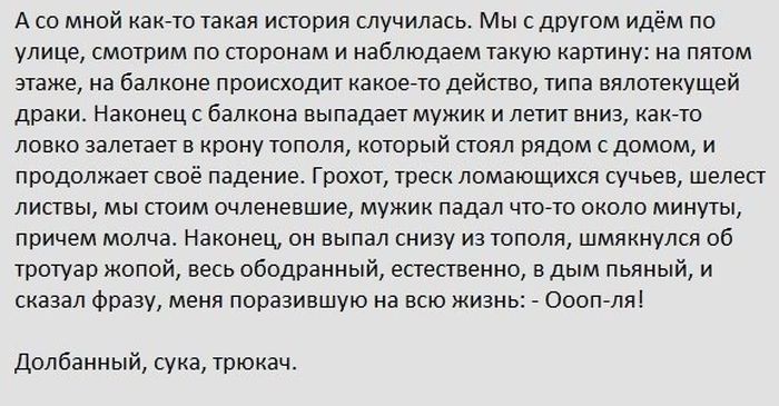 Прикольные картинки (86 фото)