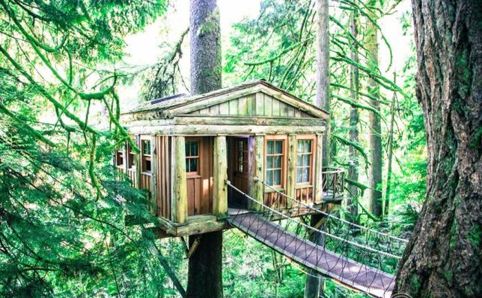 Прикольные картинки (86 фото)