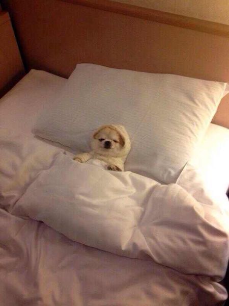 Прикольные картинки (86 фото)