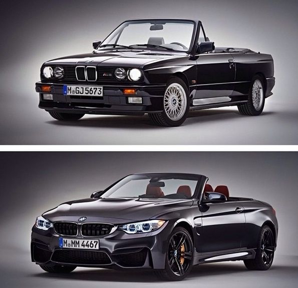 Прикольные картинки (86 фото)