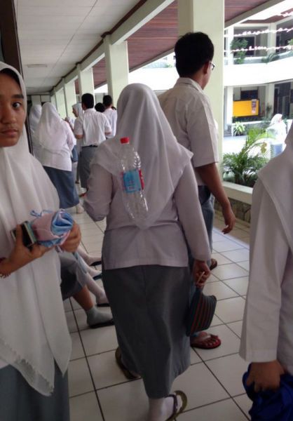 Прикольные картинки (86 фото)