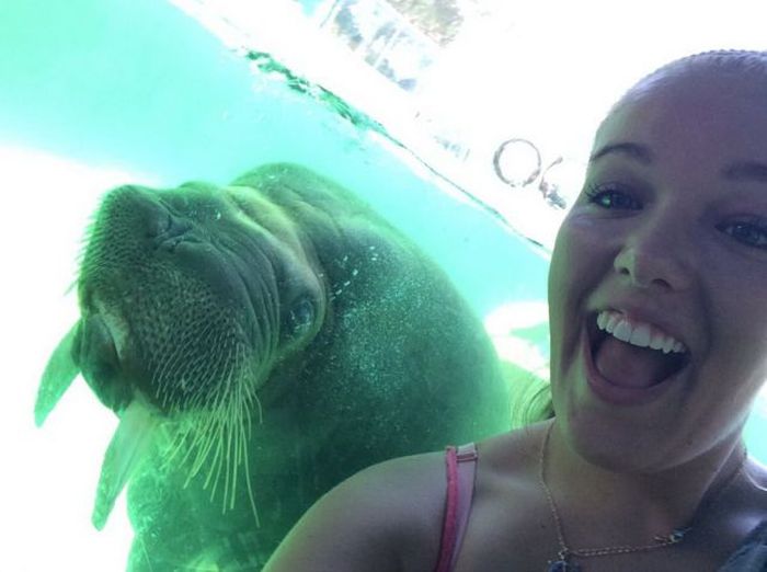 Прикольные картинки (86 фото)