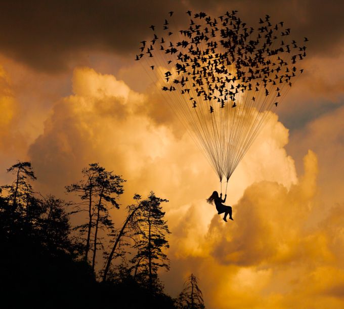 Прикольные картинки (86 фото)