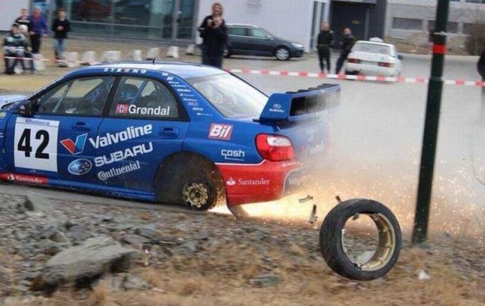 Прикольные картинки (86 фото)