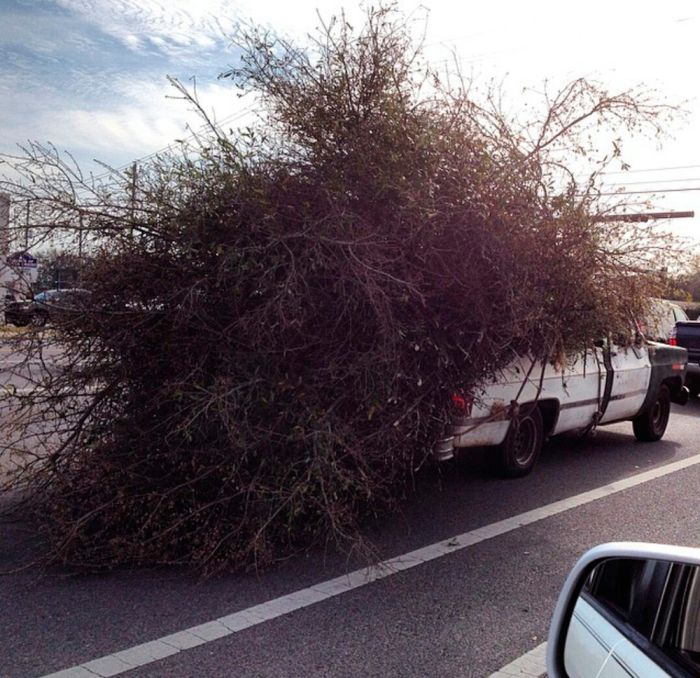 Прикольные картинки (86 фото)