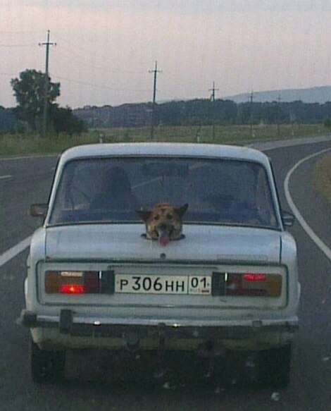 Забавные картинки