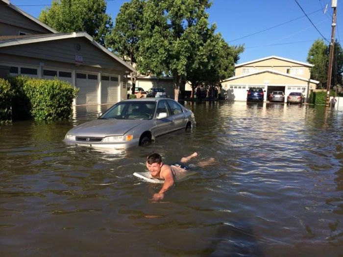 Забавные картинки