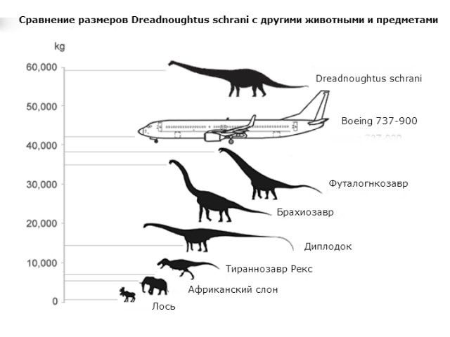 В Аргентине найден сверхмассивный динозавр-дредноут В Аргентине найден сверхмассивный динозавр-дредноут