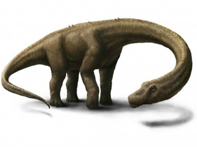 В Аргентине найден сверхмассивный динозавр-дредноут