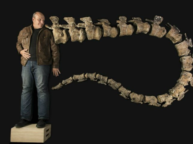 В Аргентине найден сверхмассивный динозавр-дредноут В Аргентине найден сверхмассивный динозавр-дредноут