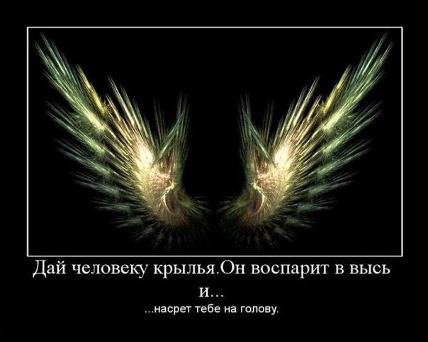 Подборка "боянов", старых и не очень (может кто не видел).