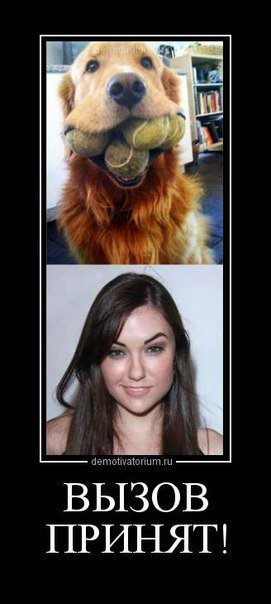 Подборка "боянов", старых и не очень (может кто не видел).