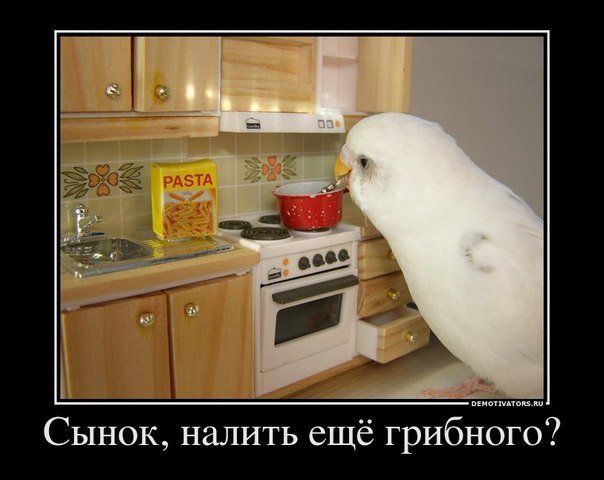 Подборка "боянов", старых и не очень (может кто не видел).