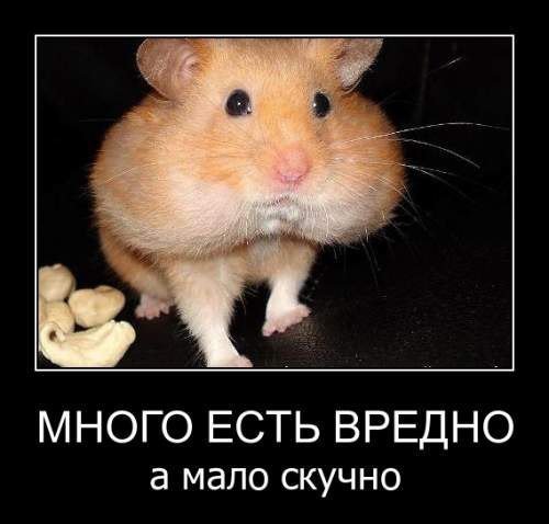 Подборка "боянов", старых и не очень (может кто не видел).