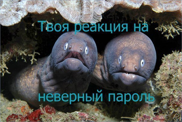 Подборка "боянов", старых и не очень (может кто не видел).