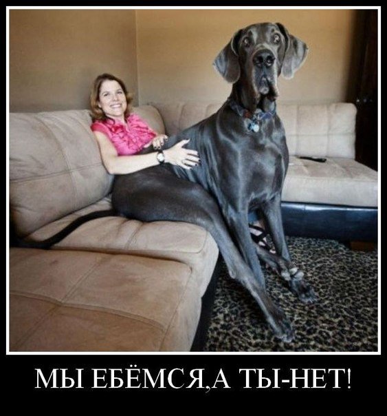 Подборка "боянов", старых и не очень (может кто не видел).