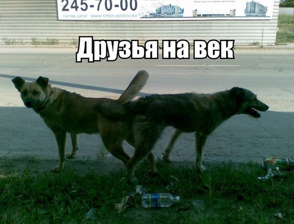 Подборка "боянов", старых и не очень (может кто не видел).