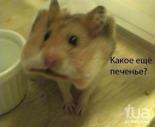 Подборка "боянов", старых и не очень (может кто не видел).