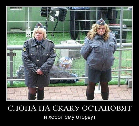 Подборка "боянов", старых и не очень (может кто не видел).