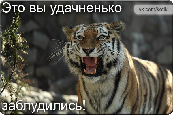 Подборка "боянов", старых и не очень (может кто не видел).