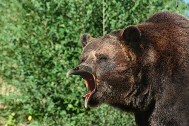 "Мастера" фотошопа из соц сетей