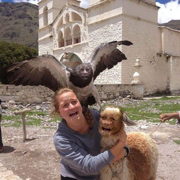 "Мастера" фотошопа из соц сетей