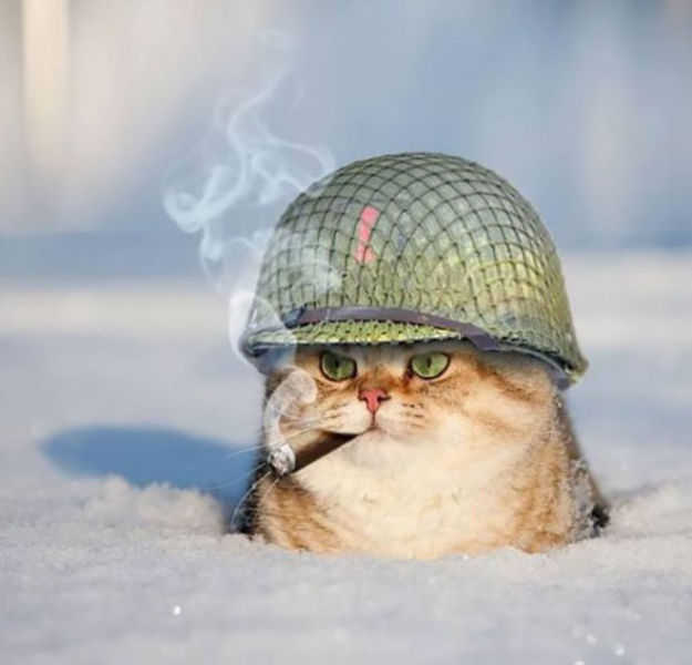 "Мастера" фотошопа из соц сетей