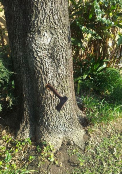 Что-то тут не так...