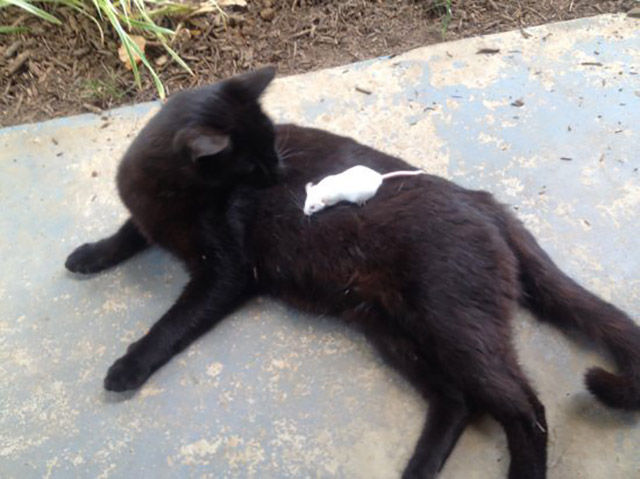 Что-то тут не так...