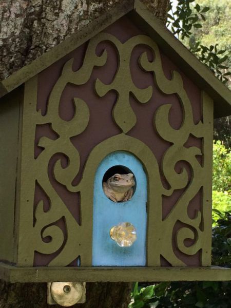 Что-то тут не так...