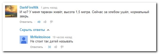 Смешные комментарии из социальных сетей