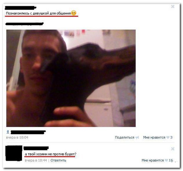 Смешные комментарии из социальных сетей