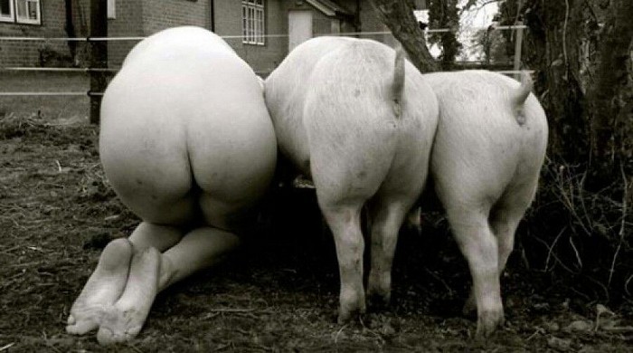 Очередная порция чудиков и соц сетей