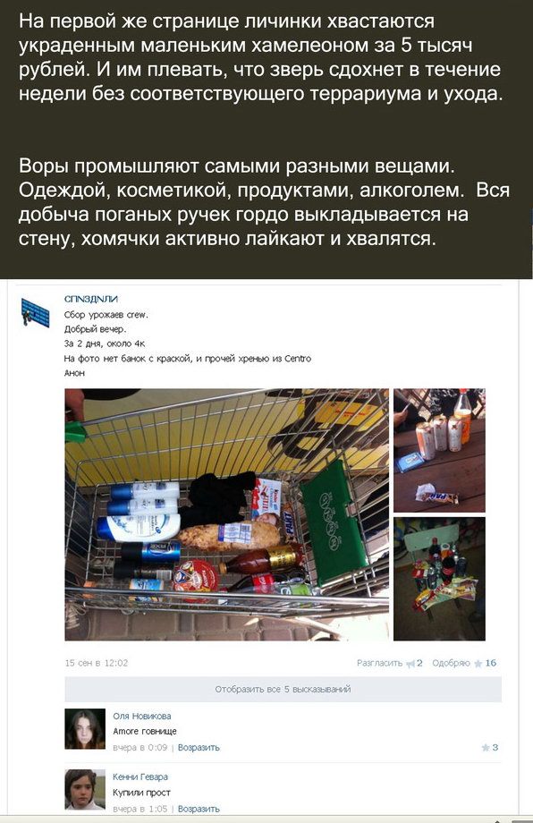 Группа малолетних преступников