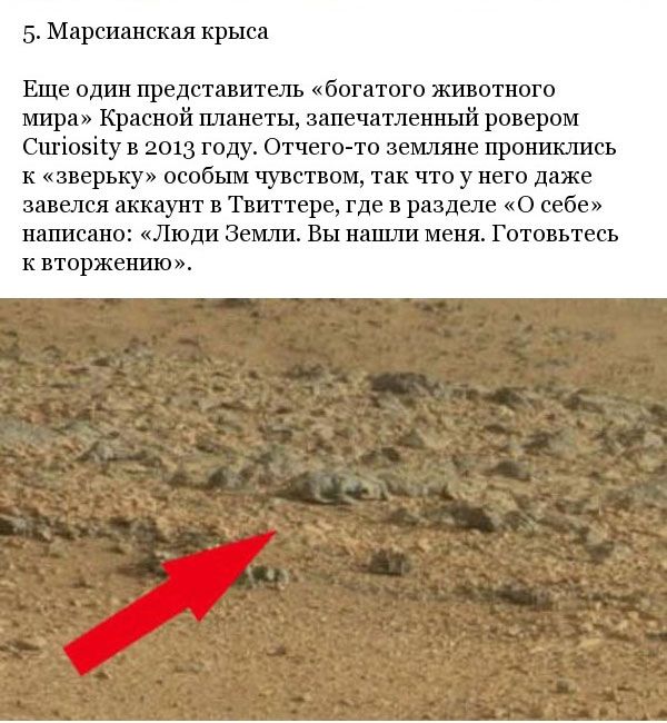 Марсианские хроники