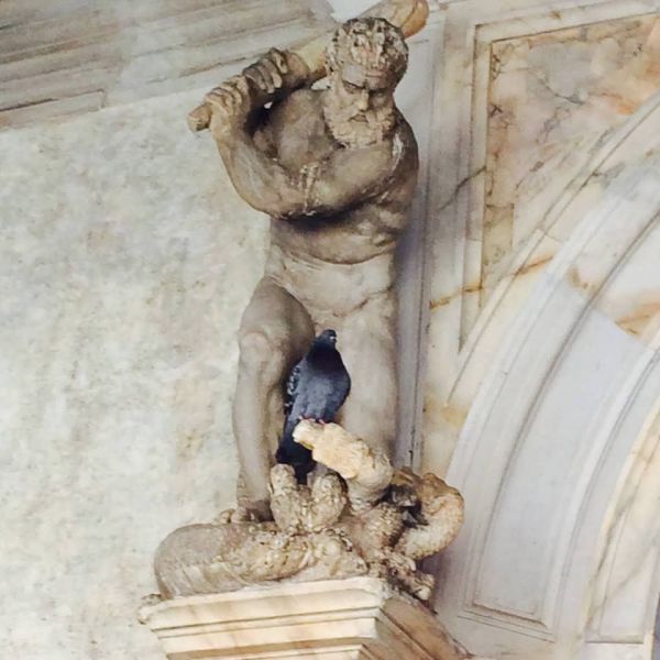 Прикольные картинки (91 фото)