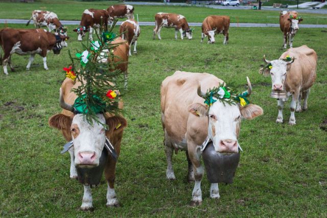 Прикольные картинки (91 фото)